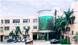 2000年，自建工業(yè)園區投入使用。同年投入鋁、鋅合金壓鑄項目。